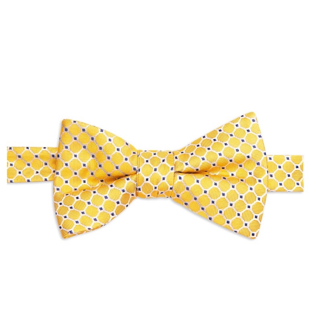 Saddlebred Alwar Bow Tie